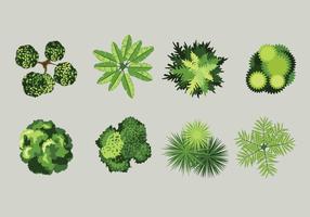 Bird's Eye View Of Plants With Grey Background vector