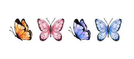 Colorful butterflies watercolor isolated on white background. Blue, orange, purple and pink butterfly. Spring animal vector illustration