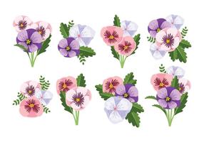 Free Pansy Flower Vector