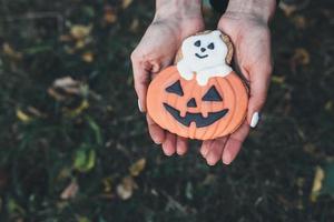 Halloween cookies view photo