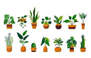 Houseplant Green Decorative Plant Garden Botanical Vector Set