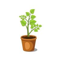 set of plants in pots, flat design vector. vector