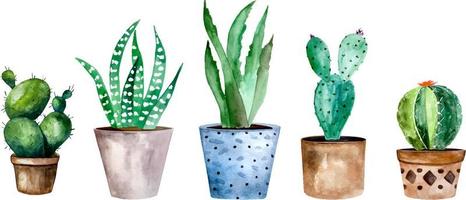 Watercolor illustration of cactus and succulent plants in pot. Watercolor individual flower pot vector