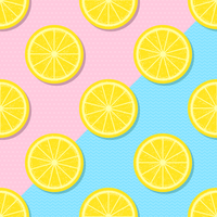 Slices Yellow Lemon Summer Background vector